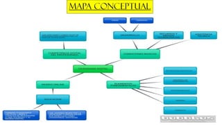 MAPA CONCEPTUAL
 
