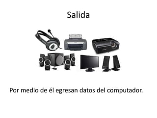 Salida
Por medio de él egresan datos del computador.
 