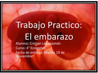 Trabajo Practico:
El embarazo

Alumno: Cristian Leguizamón
Curso: 4° Economía
Fecha de entrega: Martes 19 de
Noviembre

 