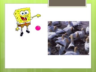 Trabajo practico dos