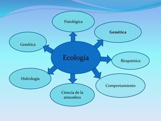 Ecología
Genética
Ciencia de la
atmosfera
Comportamiento
Bioquímica
Hidrología
Fisiológica
Genética
 