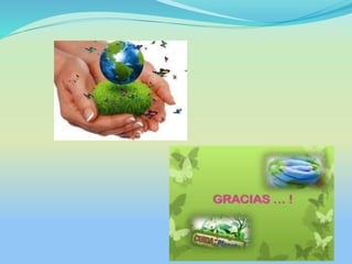 Trabajo practico ecologia