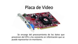 Placa de Video
Se encarga del procesamiento de los datos que
provienen del CPU y los convierte en información que se
puede representar en monitores.
 