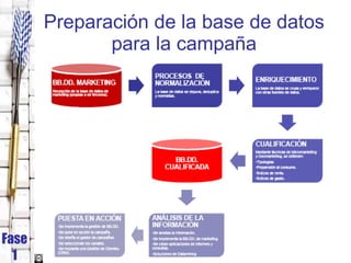 Preparación de la base de datos para la campaña Fase 1 