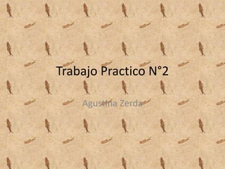 Trabajo Practico N°2
Agustina Zerda
 