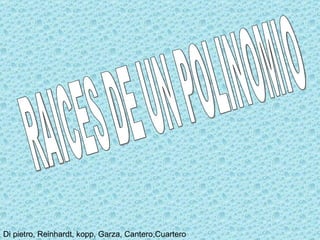 RAICES DE UN POLINOMIO 