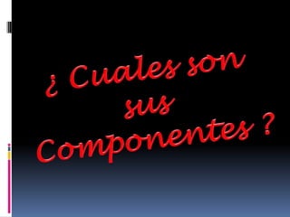¿ Cuales son sus Componentes ?