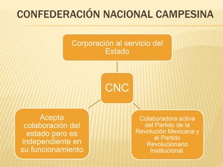 CONFEDERACIÓN NACIONAL CAMPESINA
CNC
Corporación al servicio del
Estado
Colaboradora activa
del Partido de la
Revolución Mexicana y
el Partido
Revolucionario
Institucional.
Acepta
colaboración del
estado pero es
independiente en
su funcionamiento
 