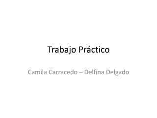 Trabajo Práctico
Camila Carracedo – Delfina Delgado

 