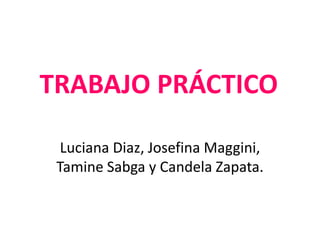TRABAJO PRÁCTICO
Luciana Diaz, Josefina Maggini,
Tamine Sabga y Candela Zapata.
 