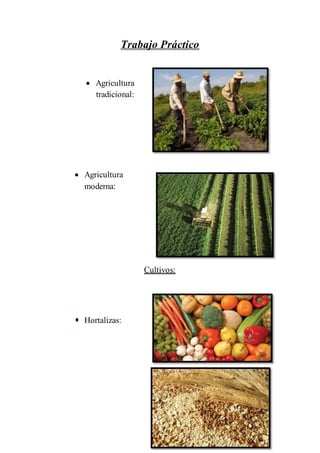 Trabajo Práctico
 Agricultura
tradicional:
 Agricultura
moderna:
Cultivos:
 Hortalizas:
 