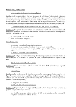 Curiosidades y justificaciones: 
 Viven mosquitos sin alas entre los musgos y líquenes. 
Justificación: El mosquito antártico vive entre los musgos de la Península Antártica, donde encuentran 
alimento sus larvas. Los científicos han comprobado que es capaz de soportar drásticos cambios en su 
entorno, temperaturas y vientos extremos, intensa radiación ultravioleta, aguanta la congelación de sus 
fluidos corporales, tolera alta salinidad e incluso puede vivir sin oxígeno varias semanas. No tiene alas y 
está preparado para aguantar un ambiente extremo y temperaturas que en ocasiones bajan de los -50ºC. 
 La temperatura mínima absoluta registrada es de -91° en la estación rusa de Vostok. 
Justificación: El lugar más frío sobre la tierra es la estación rusa Vostok en la antártica, registrando la 
temperatura más baja el 21 de Julio de 1983, de manera extraoficial está documentada una temperatura 
de -91ºC y oficialmente -89.2ºC. 
 Se han encontrado peces en vida latente. 
 No es necesario tener refrigerador. 
Curiosidades extra: 
 Los animales están adaptados a condiciones extremas. 
 Es necesario conocer muy bien el territorio, ya que los suelos son inestables. 
 No cuenta con mucha población, ya que es habitado por científicos y militares de diferentes 
países. 
 Es uno de los lugares más ventosos del planeta. 
Justificación: Es el lugar más ventoso del mundo y el continente que registra los vientos más fuertes. En 
muchos rincones de la Antártida, las corrientes de viento alcanzan velocidades que superan los 320 
km/h. 
 Tiene la mayor cantidad de hielo del mundo. 
Justificación: Esta es la mayor masa de hielo que existe en la Tierra. El 99 % de todo lo que hay en la 
Antártida está congelado. 
 No hay árboles. 
Justificación: Las condiciones de la Antártida no dan muchas opciones para el reino vegetal en este 
lugar. Por eso, en la Antártida no hay árboles ni arbustos de algún tipo. No obstante, existen 2 especies 
de flores que han crecido allí: el pasto antártico de tipo pelo (Deschampsia antarctica) y el clavel 
antártico (Colobanthus quitensis). 
 Es el lugar más frio de la tierra. 
 El hielo de la Antártida es realmente grueso. 
Justificación: En promedio, la media de grosor del hielo de la Antártida tiene nada menos que entre 1,6 
y 2,5 km de espesor. Eso sí que es mucho. 
 Los científicos creen que existen porciones de hielo en la Antártida que han permanecido 
congelados durante muchos millones de años. 
 