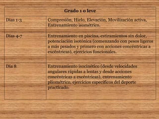 Entrenamiento isocinético (desde velocidades angulares rápidas a lentas y desde acciones concéntricas a excéntricas), entrenamiento pliométrico, ejercicios específicos del deporte practicado. Día 8 Entrenamiento en piscina, estiramientos sin dolor, potenciación isotónica (comenzando con pesos ligeros a más pesados y primero con acciones concéntricas a excéntricas), ejercicios funcionales. Días 4-7 Compresión, Hielo, Elevación, Movilización activa, Entrenamiento isométrico. Días 1-3 Grado 1 o leve 