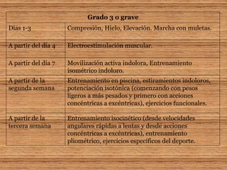 Entrenamiento isocinético (desde velocidades angulares rápidas a lentas y desde acciones concéntricas a excéntricas), entrenamiento pliométrico, ejercicios específicos del deporte. A partir de la tercera semana Entrenamiento en piscina, estiramientos indoloros, potenciación isotónica (comenzando con pesos ligeros a más pesados y primero con acciones concéntricas a excéntricas), ejercicios funcionales. A partir de la segunda semana Movilización activa indolora, Entrenamiento isométrico indoloro. A partir del día 7 Electroestimulación muscular. A partir del día 4 Compresión, Hielo, Elevación. Marcha con muletas. Días 1-3 Grado 3 o grave 