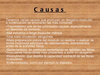 Causas Tenemos varias causas que producen un desgarro muscular, a continuación se enumeran las más comunes: Traumatismo una de las principales causas, especialmente en deportes de contacto. Mal esfuerzo o fatiga muscular intensa. Una mala circulación sanguínea. Mala preparación previa del músculo no realizar o realizar de forma incorrecta ejercicios de calentamiento, estiramientos antes de la actividad física. Sedentarismo, en personas sedentarias se debilitan las fibras musculares haciéndolas mas propensas a sufrir un desgarro. Desnutrición, que debilita la capacidad contráctil de las fibras musculares, Enfermedades, como por ejemplo la diabetes. 
