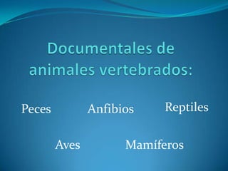 Peces          Anfibios    Reptiles

        Aves         Mamíferos
 