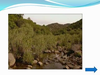 Trabajo práctico de tic