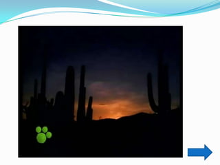 Trabajo práctico de tic