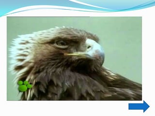 Trabajo práctico de tic