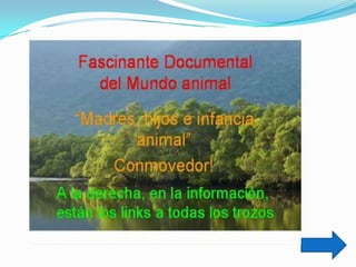 Trabajo práctico de tic