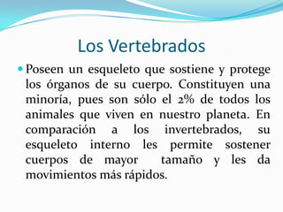 Los Vertebrados
 Poseen un esqueleto que sostiene y protege
 los órganos de su cuerpo. Constituyen una
 minoría, pues son sólo el 2% de todos los
 animales que viven en nuestro planeta. En
 comparación a los invertebrados, su
 esqueleto interno les permite sostener
 cuerpos de mayor       tamaño y les da
 movimientos más rápidos.
 