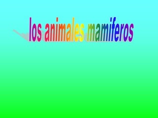 los animales mamiferos 