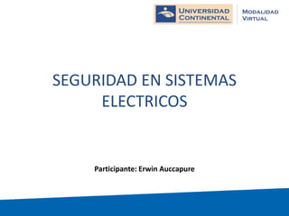 SEGURIDAD EN SISTEMAS
ELECTRICOS

Participante: Erwin Auccapure

 