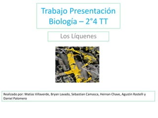Trabajo Presentación
Biología – 2°4 TT
Los Líquenes
Realizado por: Matías Villaverde, Bryan Lavado, Sebastian Camasca, Hernan Chave, Agustin Rastelli y
Daniel Palomero
 