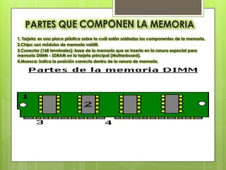 1. Tarjeta: es una placa plástica sobre la cuál están soldadas los componentes de la memoria.
2.Chips: son módulos de memoria volátil.
3.Conector (168 terminales): base de la memoria que se inserta en la ranura especial para
memoria DIMM - SDRAM en la tarjeta principal (Motherboard).
4.Muesca: indica la posición correcta dentro de la ranura de memoria.
 