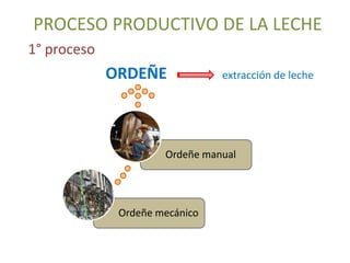 PROCESO PRODUCTIVO DE LA LECHE
1° proceso
ORDEÑE extracción de leche
Ordeñe mecánico
Ordeñe manual
 
