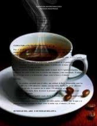 FUNDACION UNIVERSITARIA CIDCA 
PROCESOS INDUSTRIALES 
EL CAFE 
LA SEMILLA 
Se compone de dos partes: Almendra y Pergamino. La Almendra es dura y de color verdoso, 
está cubierta de una película plateada cuando está seca, y del embrión que es una planta muy 
pequeña que está dentro de la almendra y se alimenta de ella en los primeros meses de 
desarrollo de la planta. La parte roja o amarilla del fruto maduro se conoce con el nombre de 
pulpa. Protegiendo la semilla, hay una cubierta llamada pergamino que está cubierta de una 
sustancia azucarada que es el "mucílago" o "baba". Al café seco se le denomina pergamino. 
CLIMA PARA UN CULTIVO ÓPTIMO 
Para el desarrollo de un buen cultivo de café podemos encontrar diferentes factores que 
pueden ser favorables o también de desventaja como lo son el clima y la temperatura donde 
encontramos que: 
 La zona óptima para el cultivo del café arábico se encuentra entre 19 y 21.5 grados 
centígrados. 
 En climas fríos, donde la temperatura media es menor de 19 grados centígrados, las 
variedades de café se desarrollan menos, su producción es menor y la cosecha se 
distribuye a lo largo del año. 
En climas calientes, donde la temperatura media es mayor de 21.5 grados centígrados, la vida 
productiva del cafeto es más corta, la cosecha más temprana y más concentrada. El ataque de 
la roya es más severo y se incrementan plagas como la broca y el minador. 
LLUVIA 
 Se considera apropiada para el cultivo una cantidad de lluvia comprendida entre los 
1.800 y los 2.800 milímetros anuales, con una buena distribución en los diferentes 
meses del año. Se requieren por lo menos 120 milímetros al mes. 
 Periodos de mucha lluvia favorecen la presencia de enfermedades como el mal 
rosado y la gotera. 
 El exceso de lluvias también puede afectar la floración del cafetal, disminuyéndola o 
dañándola. 
Si se presentan sequías excesivas, las hojas del cafeto pueden caerse por falta de agua y se 
puede incrementar el ataque de plagas como la arañita roja, el minador y la broca 
HUMEDAD DEL AIRE O HUMEDAD RELATIVA 
 