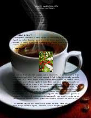 FUNDACION UNIVERSITARIA CIDCA 
PROCESOS INDUSTRIALES 
Está representada por los residuos descompuestos de plantas y animales. La pulpa de café 
descompuesta aporta materia orgánica a los suelos. La materia orgánica tiene mucha 
importancia para obtener una alta productividad del cultivo. Influye en forma decisiva en el 
mejoramiento de las condiciones físicas del suelo, favorece la retención de humedad y es el 
principal sustrato para el desarrollo de pequeños organismos que la transforman en una gran 
fuente de alimento para el cafeto. Los suelos buenos para cultivar café deben tener contenidos 
de materia orgánica mayores al 8%. 
EL CULTIVO DE CAFÉ 
En este apartado conocemos el cultivo de café del cual se deriva la calidad del café, la cual 
depende de muchos factores, como lo son los factores genéticos, depende obviamente 
del árbol y el entorno en que crece. Adicionalmente, la forma como se siembra el café y el 
adecuado manejo agronómico del cultivo, también influenciará la calidad. 
EL CAFE 
COSECHA DEL CAFÉ 
Los periodos de cosecha están asociados con la estacionalidad de las floraciones y de las 
particularidades del cultivo. En el caso de la especie de Café Arábica, por ejemplo, la cosecha 
ocurre entre 210 y 224 días después de las floraciones. Las floraciones son inducidas cuando 
la planta sufre un stress hídrico seguido de lluvias. Es así como países con estaciones de lluvia s 
marcadas durante el año tienden a tener floraciones concentradas y, consecuentemente, 
cosechas concentradas en un periodo relativamente corto, de alrededor de tres meses, en el 
año. La concentración en los periodos de cosecha favorece prácticas de recolección con el uso 
de maquinaria más o menos sofisticada, que, en cualquier caso, implica la recolección de 
frutos en óptimo estado de madurez, con frutos que pueden estar sobre maduros o ligeramente 
inmaduros. Las prácticas de post cosecha serán fundamentales para separarlos y evitar que los 
frutos en diversos estados de madurez generen características indeseables en la taza de café. 
Pero podemos encontrar que para Colombia es muy particular puesto que su régimen de 
lluvias incluye, en ciertas regiones, diferentes ciclos de precipitación que generan a su vez 
 