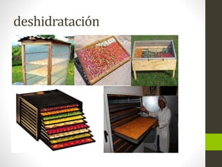 deshidratación
 