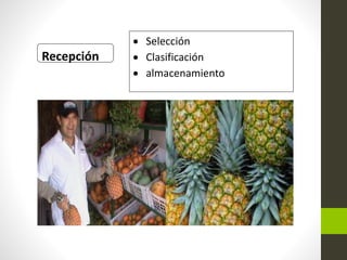 Recepción
 Selección
 Clasificación
 almacenamiento
 