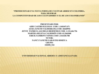 “PROMOCIONAR UNA NUEVA FORMA DE CULTIVAR ARROZ EN COLOMBIA,
PARA MEJORAR
LA COMPETITIVIDAD DE LOS CULTIVADORES Y EL DE LOS COLOMBIANOS”

PRESENTADO POR:
AIBY CASTRO IGLESIAS COD: 1.140.847.671
AURA JANETH VALDERRAMA COD: 46668956
JENNY PATRICIA AGUDELO BERMÚDEZ COD: 1.122.646.756
MARTHA HELENA CALDERÓN COD: 63.360.068
ERICK SAMBONY YONDA COD 1.144.028.788
TUTOR:
NANCY YANETH GARAVITO HORTUA
GRUPO:
102058_544

UNIVERSIDAD NACIONAL ABIERTA Y A DISTANCIA (UNAD)

 