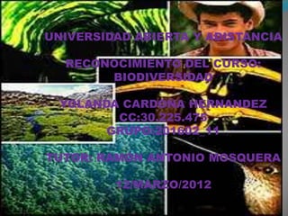 UNIVERSIDAD ABIERTA Y ADISTANCIA

  RECONOCIMIENTO DEL CURSO:
       BIODIVERSIDAD

  YOLANDA CARDONA HERNANDEZ
         CC:30.225.475
        GRUPO:201602_11

TUTOR: RAMON ANTONIO MOSQUERA

         12/MARZO/2012
 