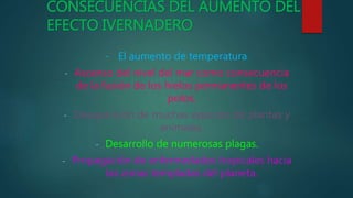 CONSECUENCIAS DEL AUMENTO DEL
EFECTO IVERNADERO
- El aumento de temperatura.
- Ascenso del nivel del mar como consecuencia
de la fusión de los hielos permanentes de los
polos.
- Desaparición de muchas especies de plantas y
animales.
- Desarrollo de numerosas plagas.
- Propagación de enfermedades tropicales hacia
las zonas templadas del planeta.
 