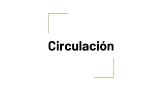 Circulación
 