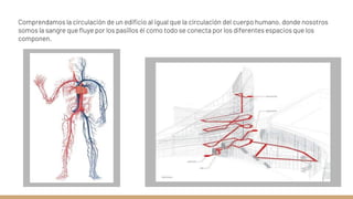 Comprendamos la circulación de un edificio al igual que la circulación del cuerpo humano, donde nosotros
somos la sangre que fluye por los pasillos él como todo se conecta por los diferentes espacios que los
componen.
 