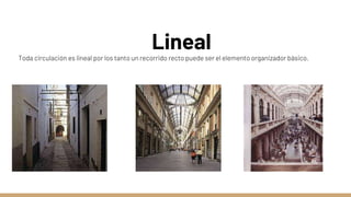 Lineal
Toda circulación es lineal por los tanto un recorrido recto puede ser el elemento organizador básico.
 
