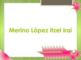 ELABORÓ:

Merino López itzel iraí
 