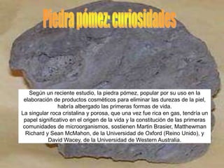 Según un reciente estudio, la piedra pómez, popular por su uso en la
 elaboración de productos cosméticos para eliminar las durezas de la piel,
               habría albergado las primeras formas de vida.
La singular roca cristalina y porosa, que una vez fue rica en gas, tendría un
 papel significativo en el origen de la vida y la constitución de las primeras
 comunidades de microorganismos, sostienen Martin Brasier, Matthewman
  Richard y Sean McMahon, de la Universidad de Oxford (Reino Unido), y
           David Wacey, de la Universidad de Western Australia.
 