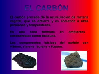 El carbón procede de la acumulación de materia
vegetal, que se entierra y es sometida a altas
presiones y temperaturas.

Es    una   roca   formada     en    ambientes
continentales como bosques.

Los componentes básicos del          carbón   son
vitreno, clareno, dureno y fuseno.
 