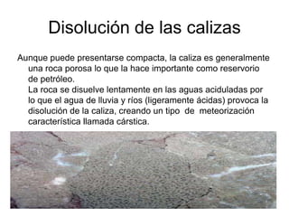 Disolución de las calizas
Aunque puede presentarse compacta, la caliza es generalmente
  una roca porosa lo que la hace importante como reservorio
  de petróleo.
  La roca se disuelve lentamente en las aguas aciduladas por
  lo que el agua de lluvia y ríos (ligeramente ácidas) provoca la
  disolución de la caliza, creando un tipo de meteorización
  característica llamada cárstica.
 