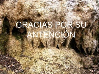 GRACIAS POR SU
  ANTENCIÓN
 