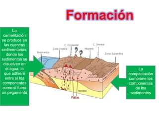 La
 cementación
se produce en
 las cuencas
sedimentarias,
   donde los
sedimentos se
 disuelven en
  el agua, lo         La
 que adhiere     compactación
  entre sí los   comprime los
componentes      componentes
como si fuera       de los
un pegamento      sedimentos
 