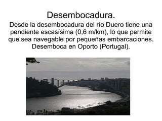 Desembocadura.
Desde la desembocadura del río Duero tiene una
 pendiente escasísima (0,6 m/km), lo que permite
que sea navegable por pequeñas embarcaciones.
        Desemboca en Oporto (Portugal).
 