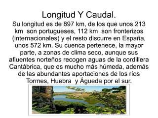 Longitud Y Caudal.
 Su longitud es de 897 km, de los que unos 213
  km son portugueses, 112 km son fronterizos
 (internacionales) y el resto discurre en España,
  unos 572 km. Su cuenca pertenece, la mayor
     parte, a zonas de clima seco, aunque sus
afluentes norteños recogen aguas de la cordillera
Cantábrica, que es mucho más húmeda, además
    de las abundantes aportaciones de los ríos
       Tormes, Huebra y Águeda por el sur.
 