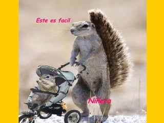 Este es facil Niñera