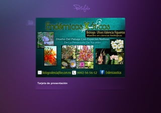 Tarjetadepresentación
Portafolio
 